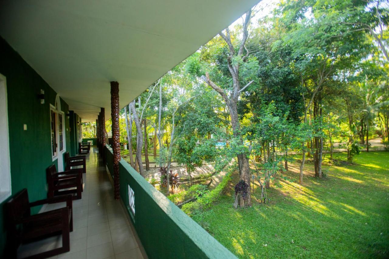 โรงแรมเอเดนการ์เดน สิกิริยา ภายนอก รูปภาพ